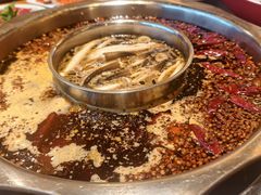 -一斗火锅·招财羊毛肚(北温泉九号店)