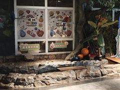 -绿色星球动物主题公园
