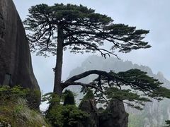 -黄山风景区