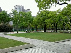 -新江湾城公园