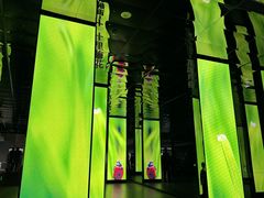 -中国湿地博物馆