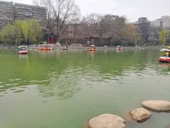 -莲湖公园