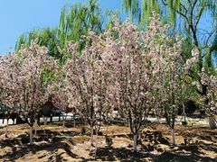 景点-老山城市休闲公园