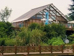 -桤木河湿地公园