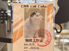 -藏猫猫咖啡主题馆(中央大道店)