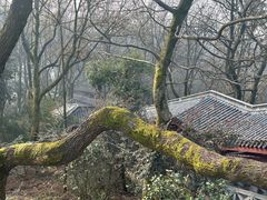 -岳麓山风景名胜区
