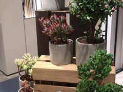 店内环境-ICICLE之禾女装店(国贸商城店)