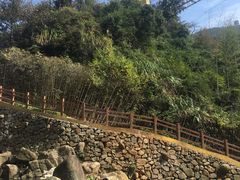 -梅岭月亮湾山体公园