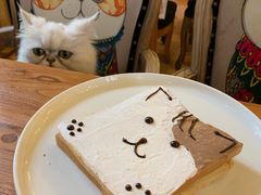 -more than meow吴止猫主题餐厅(承德 中船汇店)