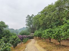 -南国桃园旅游度假区