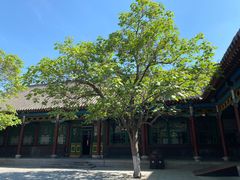 -张学良旧居陈列馆