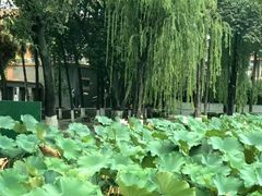 -四川大学(望江校区)