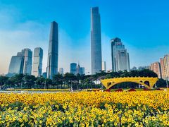 -海心沙亚运公园