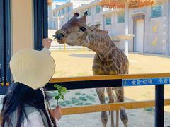 -西霞口神雕山野生动物世界