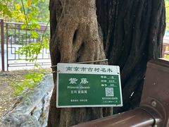 -郑和公园