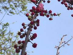 -碑林公园
