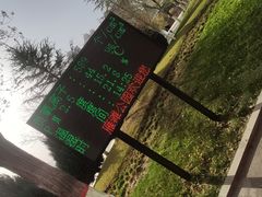 -雁滩公园