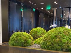 -广州文华东方酒店·悦铂尼西餐厅