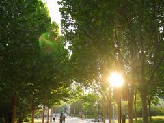 -南京邮电大学(仙林校区)