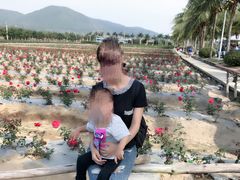 -亚龙湾国际玫瑰谷