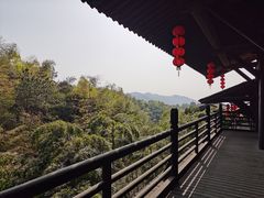-大唐贡茶院