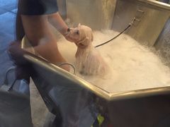 -PETKIT小佩宠物(古北店)