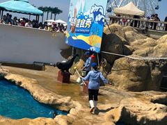 -秦皇岛乐岛海洋王国