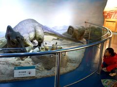 -国家自然博物馆