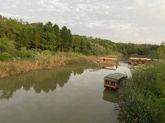 -上海长兴岛郊野公园