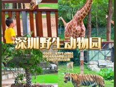 -深圳野生动物园