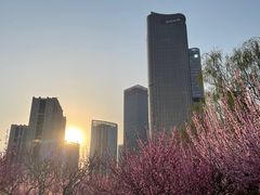-大望京公园