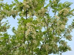 -汉长安城未央宫国家考古遗址公园