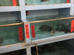 水产区-骑龙海鲜酒家