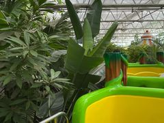 -南宫五洲植物乐园