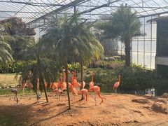 -无锡动物园·太湖欢乐园