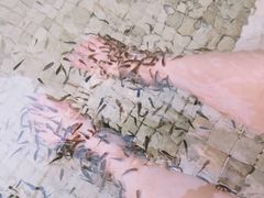 -春晖园度假酒店温泉