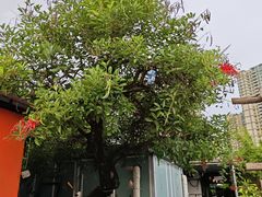 -粮心小农·大头虾亲子生态园(长发店)