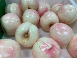 -莫莉幻想儿童乐园(武汉经开永旺店)