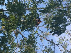 长春世界雕塑公园-长春世界雕塑园冰雪艺术天地