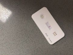 -爱侣宠医·鹦鹉专科·小型哺乳类·异宠专科(灵石路店)