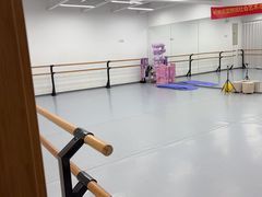 -中央芭蕾舞团·中芭艺蕾(酒仙桥明星校区)