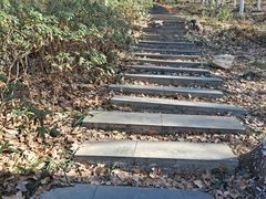 -南京老山国家森林公园