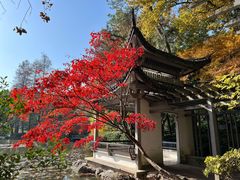 -杭州植物园