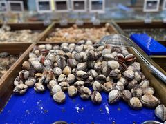 -高佳庄·海鲜酒楼(东港店)