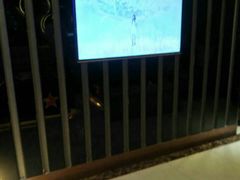 -星光大道KTV(金沙洲店)