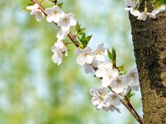 -宁波大学附属第一医院(外滩院区)