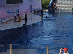 -北戴河圣蓝海洋公园