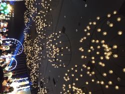 威斯汀酒店·婚宴-西安威斯汀大酒店·宴会厅