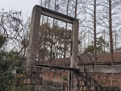 -上海佘山国家森林公园天马山园