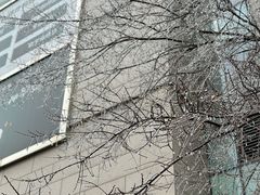 -凯德广场(武胜路店)